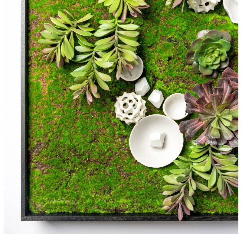 Green Wall, Succulents and Wall Play by Gold Leaf Design Group | Green Wall | Modishstore - 6