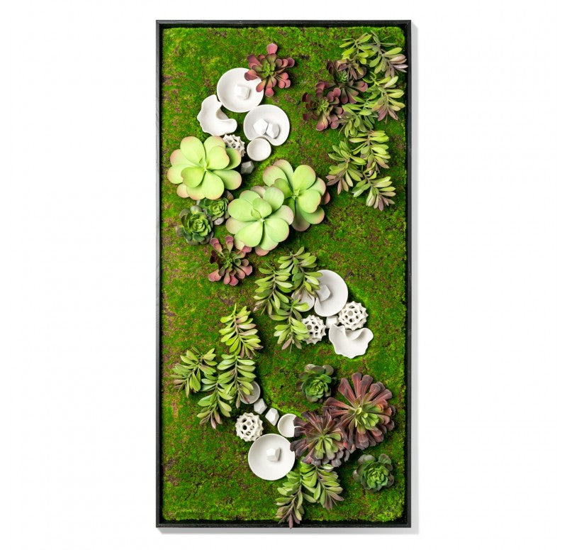 Green Wall, Succulents and Wall Play by Gold Leaf Design Group | Green Wall | Modishstore