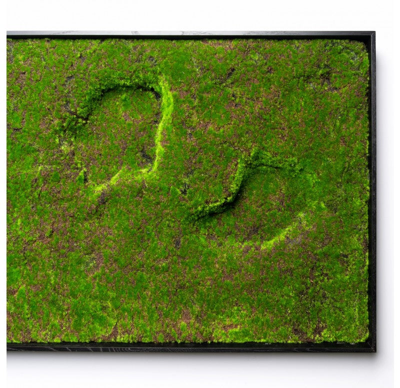 Green Wall, New Moss with Open Pools by Gold Leaf Design Group | Green Wall | Modishstore - 3