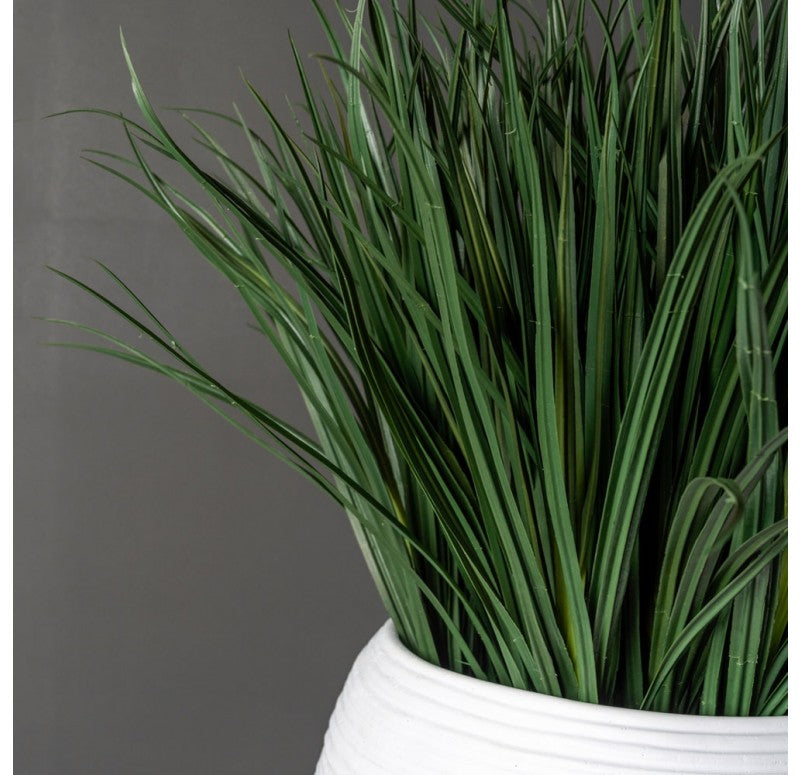 Grass: Liriope in Naoshima Planter by Gold Leaf Design Group | Outdoor Planters, Troughs & Cachepots | Modishstore-2
