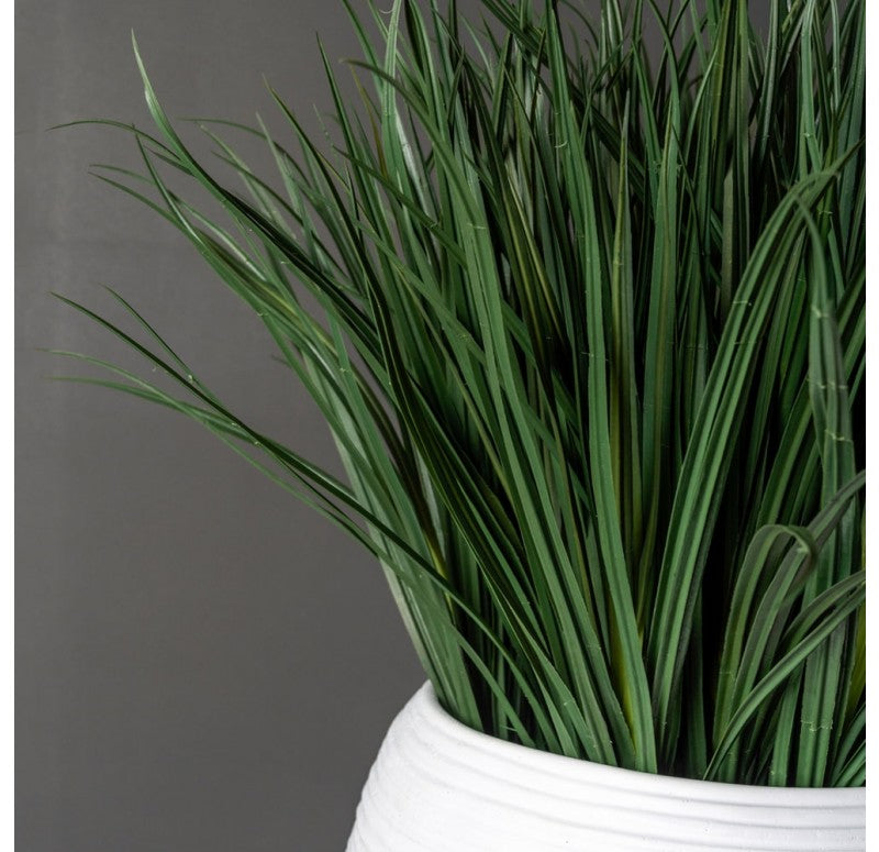 Grass: Liriope in Naoshima Planter by Gold Leaf Design Group | Outdoor Planters, Troughs & Cachepots | Modishstore - 2