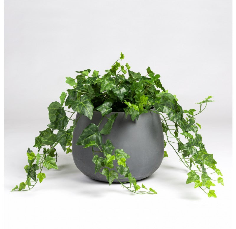 Ivy in Puddle Planter by Gold Leaf Design Group | Outdoor Planters, Troughs & Cachepots | Modishstore