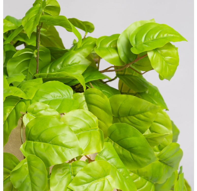 Philodendron in Urbano Bell Planter by Gold Leaf Design Group | Outdoor Planters, Troughs & Cachepots | Modishstore - 2