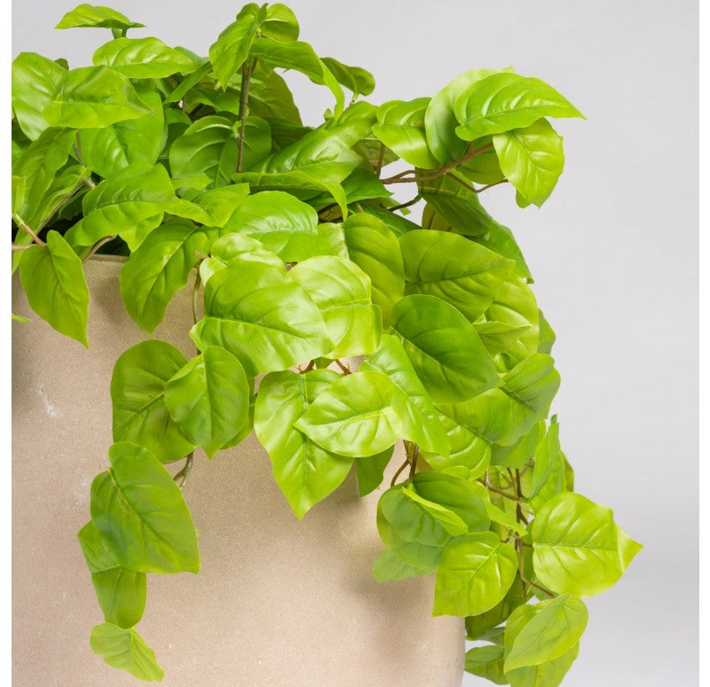 Philodendron in Urbano Bell Planter by Gold Leaf Design Group | Outdoor Planters, Troughs & Cachepots | Modishstore - 3