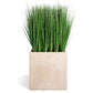Grass: Outdoor in Urbano Cube by Gold Leaf Design Group | Outdoor Planters, Troughs & Cachepots | Modishstore-2