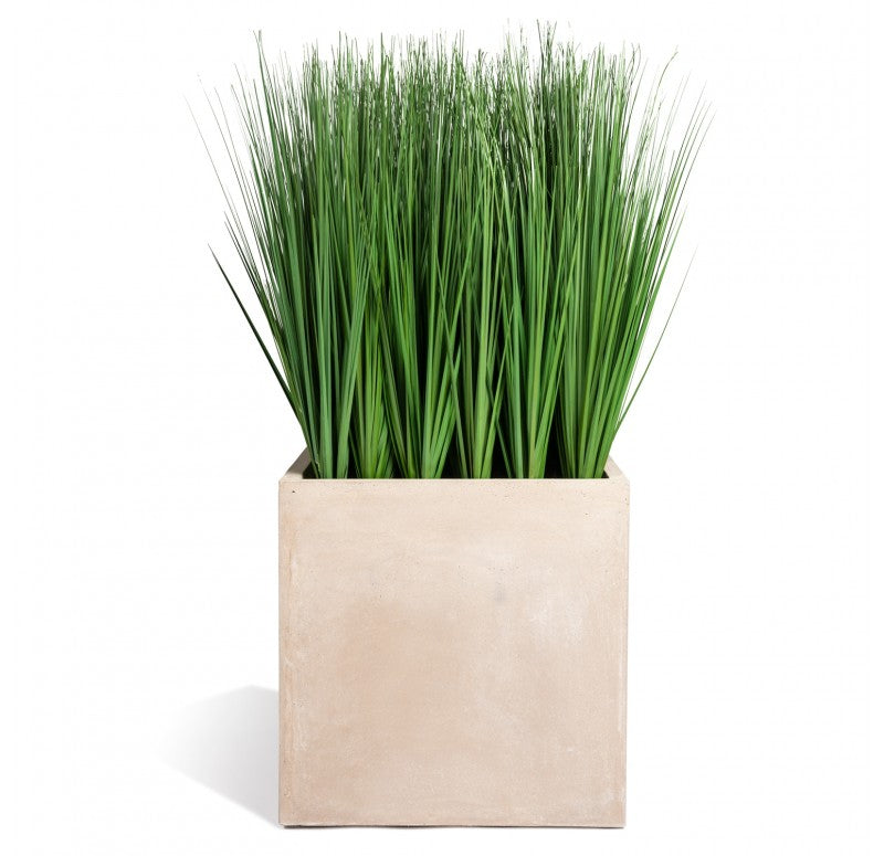 Grass: Outdoor in Urbano Cube by Gold Leaf Design Group | Outdoor Planters, Troughs & Cachepots | Modishstore - 2