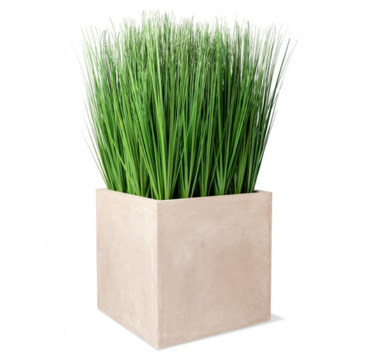 Grass: Outdoor in Urbano Cube by Gold Leaf Design Group | Outdoor Planters, Troughs & Cachepots | Modishstore