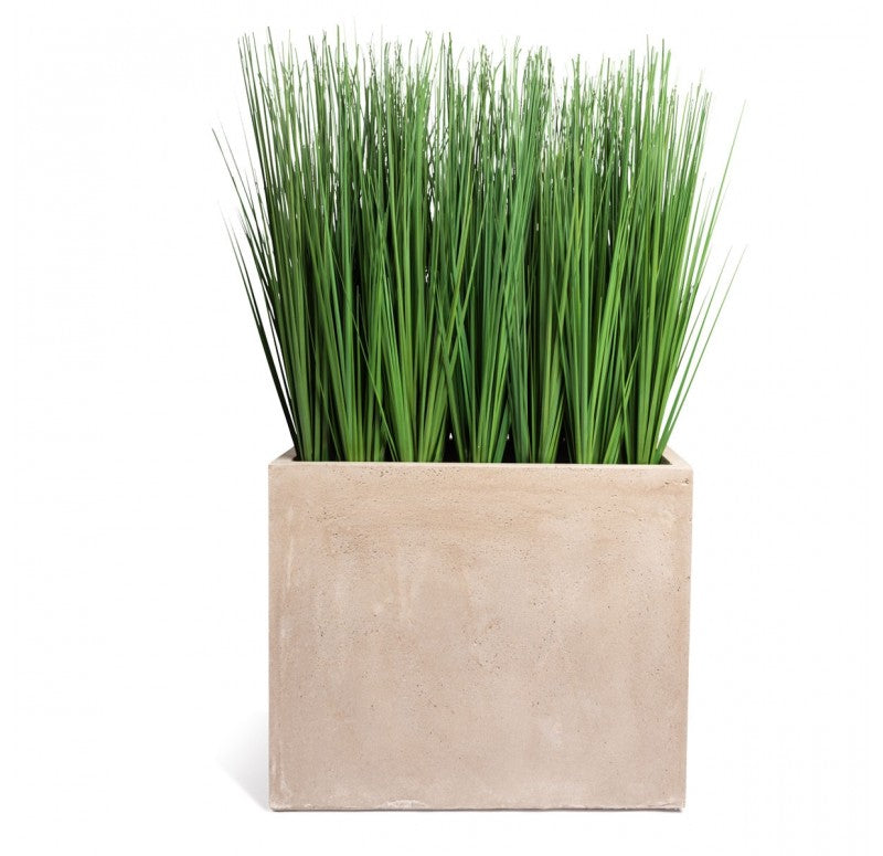Grass: Outdoor in Urbano Rectangle by Gold Leaf Design Group | Planters, Troughs & Cachepots | Modishstore - 2