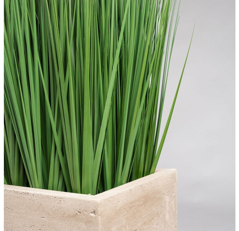 Grass: Outdoor in Urbano Rectangle by Gold Leaf Design Group | Planters, Troughs & Cachepots | Modishstore - 3