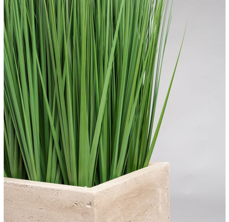 Grass: Outdoor in Urbano Rectangle by Gold Leaf Design Group | Planters, Troughs & Cachepots | Modishstore-3
