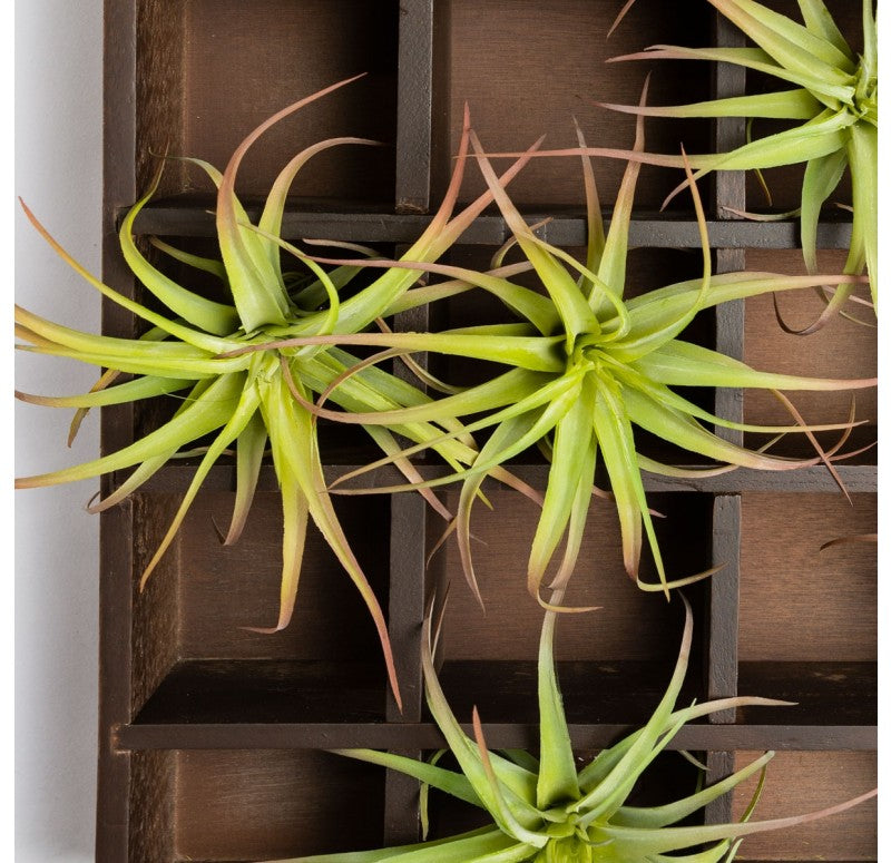 64 Compartments Green Wall, Custom built Pixelated Air Plants by Gold Leaf Design Group | Green Wall | Modishstore - 4