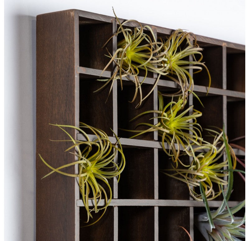 Gold Leaf Design Group Green Wall, Pixelated Air Plants, 64 Compartments | Green Wall | Modishstore-5