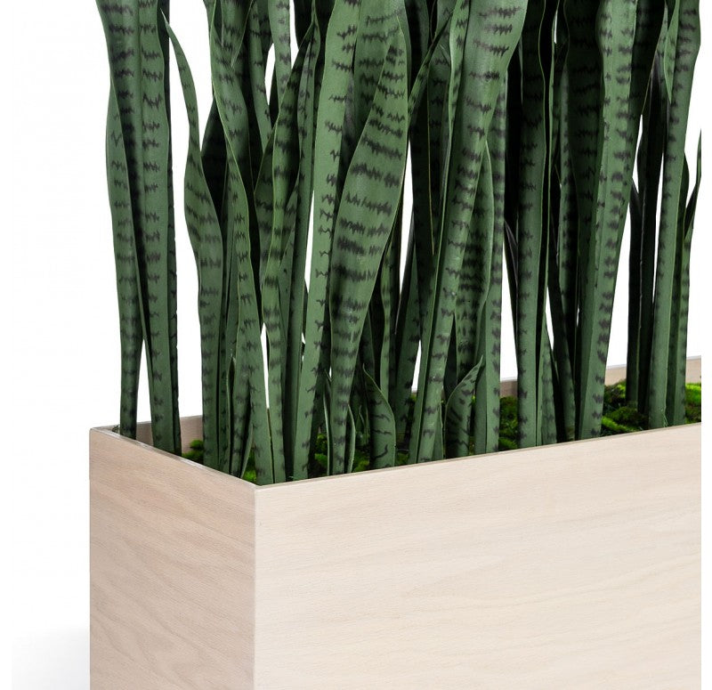 Gold Leaf Design Group Sansevieria in Whitewash Linear Planter | Planters, Troughs & Cachepots | Modishstore - 3