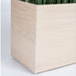 Gold Leaf Design Group Sansevieria in Whitewash Linear Planter | Planters, Troughs & Cachepots | Modishstore-2