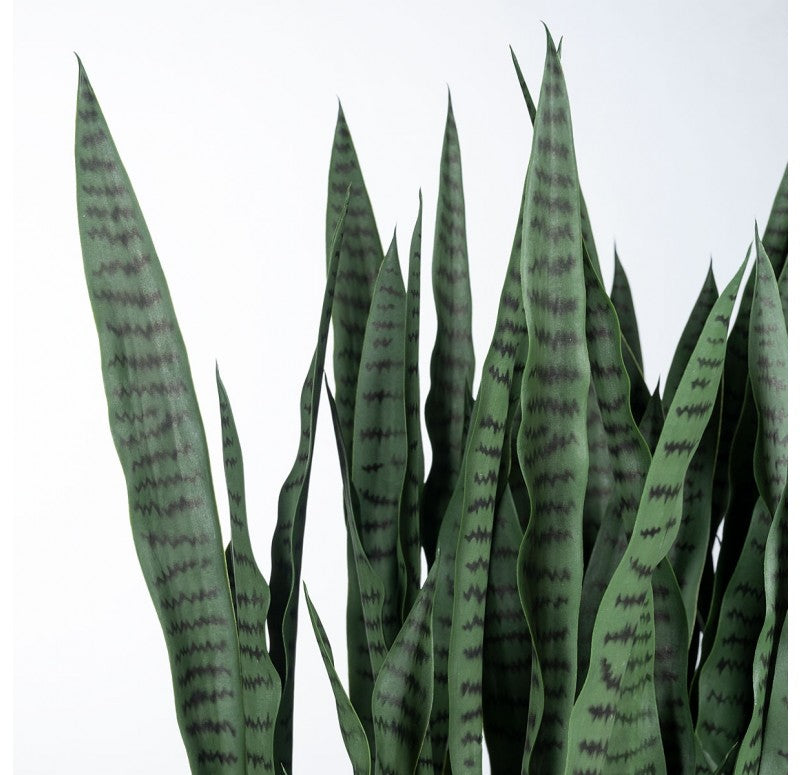 Gold Leaf Design Group Sansevieria in Whitewash Linear Planter | Planters, Troughs & Cachepots | Modishstore - 4
