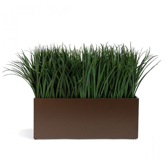 Gold Leaf Design Group Grass: Liriope in Bronze Black Linear Planter | Planters, Troughs & Cachepots | Modishstore
