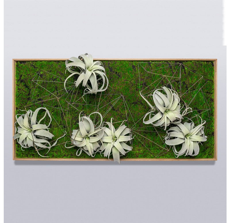 Gold Leaf Design Group Green Wall, Wire Crystals & Xerographica | Green Wall | Modishstore