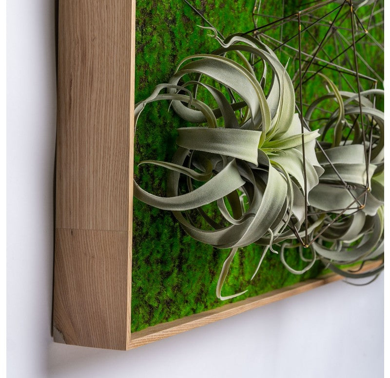 Gold Leaf Design Group Green Wall, Wire Crystals & Xerographica | Green Wall | Modishstore - 4