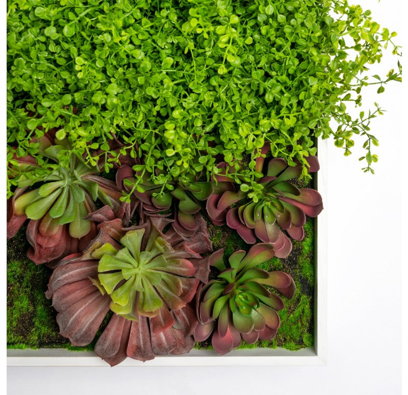 Gold Leaf Design Group Green Wall, Button Fern Mix | Green Wall | Modishstore - 2