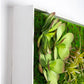 Gold Leaf Design Group Green Wall, Button Fern Mix | Green Wall | Modishstore-3