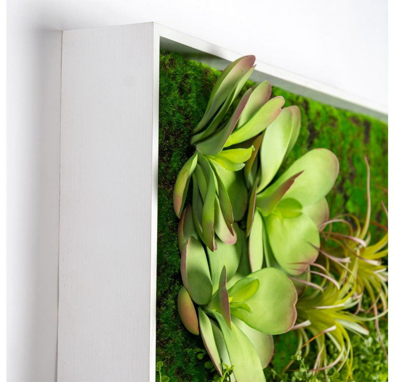 Gold Leaf Design Group Green Wall, Button Fern Mix | Green Wall | Modishstore-3