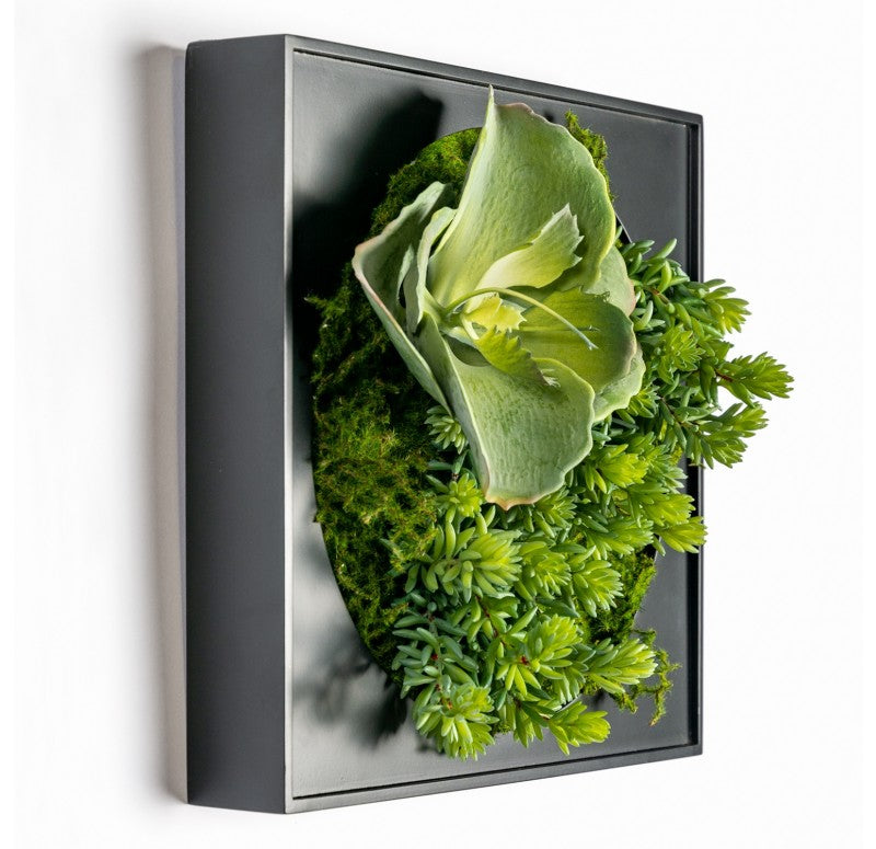 Gold Leaf Design Group Mini Green Wall, Tetra Mix | Green Wall | Modishstore - 4