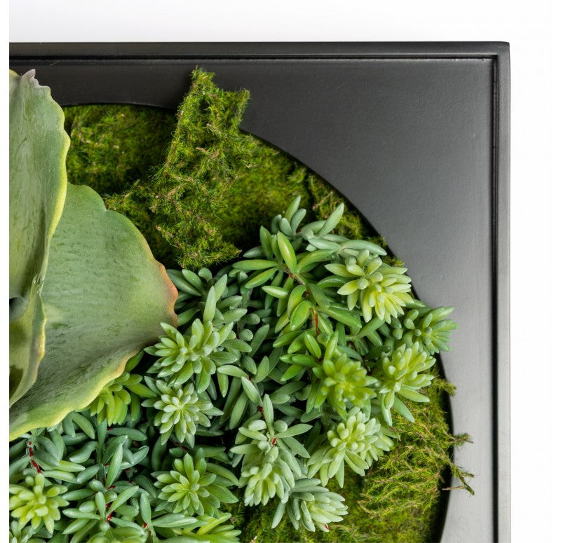 Gold Leaf Design Group Mini Green Wall, Tetra Mix | Green Wall | Modishstore - 2
