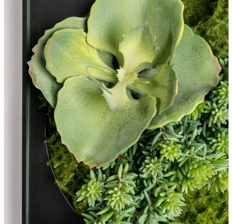 Gold Leaf Design Group Mini Green Wall, Tetra Mix | Green Wall | Modishstore - 3