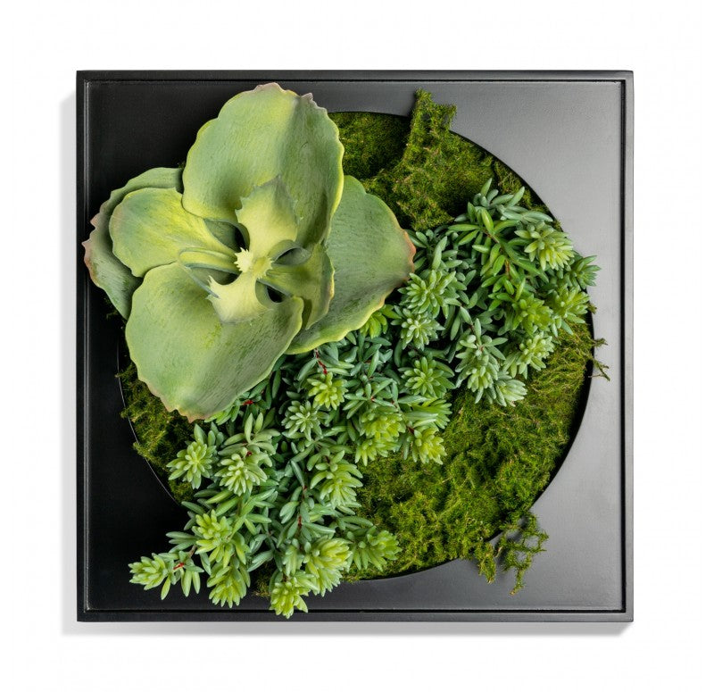 Gold Leaf Design Group Mini Green Wall, Tetra Mix | Green Wall | Modishstore