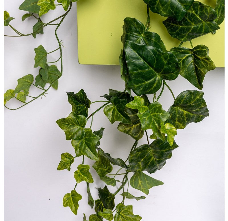 Gold Leaf Design Group Wall Planter Ivy, Green Wall | Green Wall | Modishstore - 2