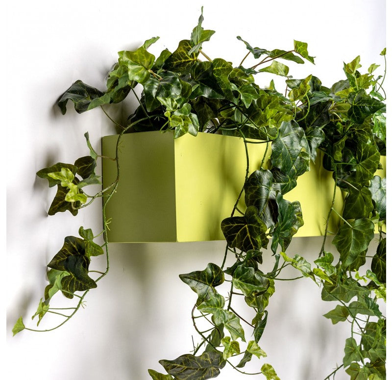 Gold Leaf Design Group Wall Planter Ivy, Green Wall | Green Wall | Modishstore - 3