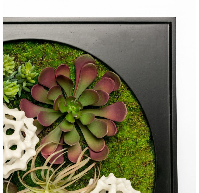 Gold Leaf Design Group Mini Green Wall, Succulent Mix | Green Wall | Modishstore - 2