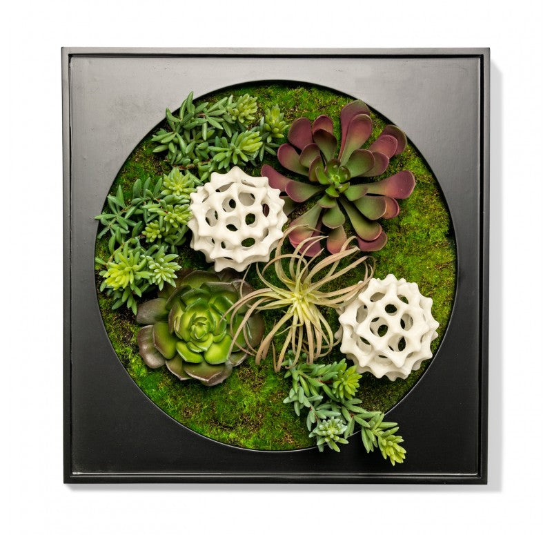 Gold Leaf Design Group Mini Green Wall, Succulent Mix | Green Wall | Modishstore-3