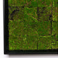 Gold Leaf Design Group Green Wall, New Moss Patch | Green Wall | Modishstore-2