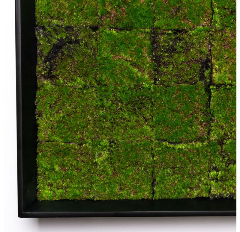Gold Leaf Design Group Green Wall, New Moss Patch | Green Wall | Modishstore - 2