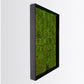 Gold Leaf Design Group Green Wall, New Moss Patch | Green Wall | Modishstore-4
