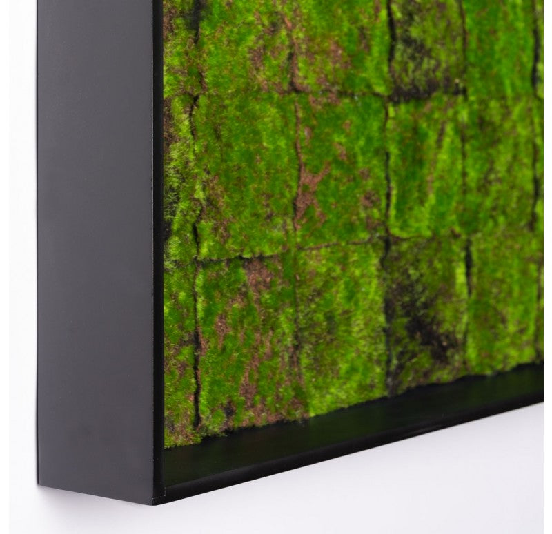 Gold Leaf Design Group Green Wall, New Moss Patch | Green Wall | Modishstore - 3
