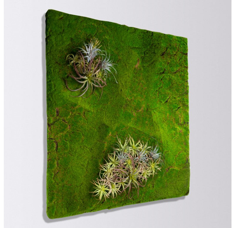 Gold Leaf Design Group Green Wall, ˜New Moss Flat | Green Wall | Modishstore - 3
