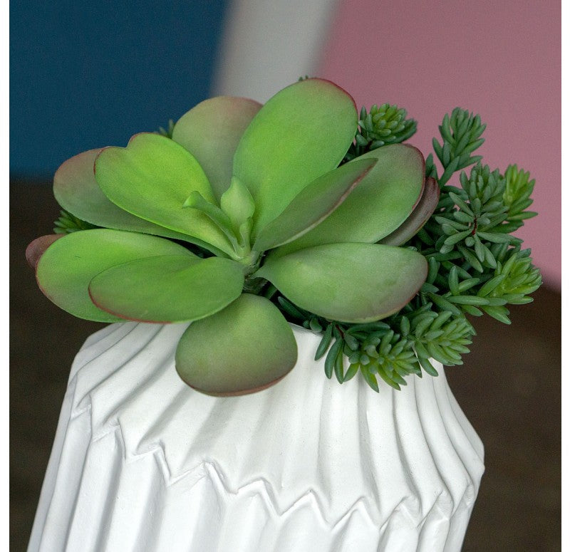 Gold Leaf Design Group Succulent Mix w/ Dusty Paddle | Vases | Modishstore - 3