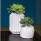 Gold Leaf Design Group Succulent Mix w/ Dusty Paddle | Vases | Modishstore