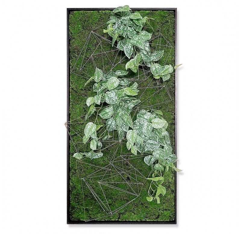 Gold Leaf Design Group Green Wall, Wire Crystals & Scindapsus | Green Wall | Modishstore - 2