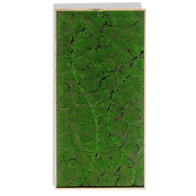 Green Wall, "New Wave B" By Gold Leaf Design Group | Green Wall |  Modishstore - 5