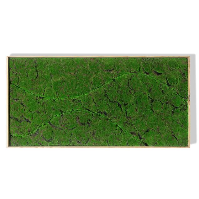 Green Wall, "New Wave A" By Gold Leaf Design Group | Green Wall | Modishstore - 7