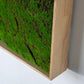 Green Wall, "New Wave A" By Gold Leaf Design Group | Green Wall | Modishstore-2