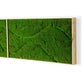 Green Wall, "New Wave B" By Gold Leaf Design Group | Green Wall | Modishstore - 2