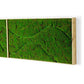 Green Wall, "New Wave A" By Gold Leaf Design Group | Green Wall | Modishstore