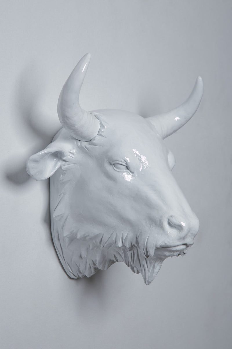 Interior Illusions Plus Buffalo Head Taxidermy | Trophy Head | Modishstore