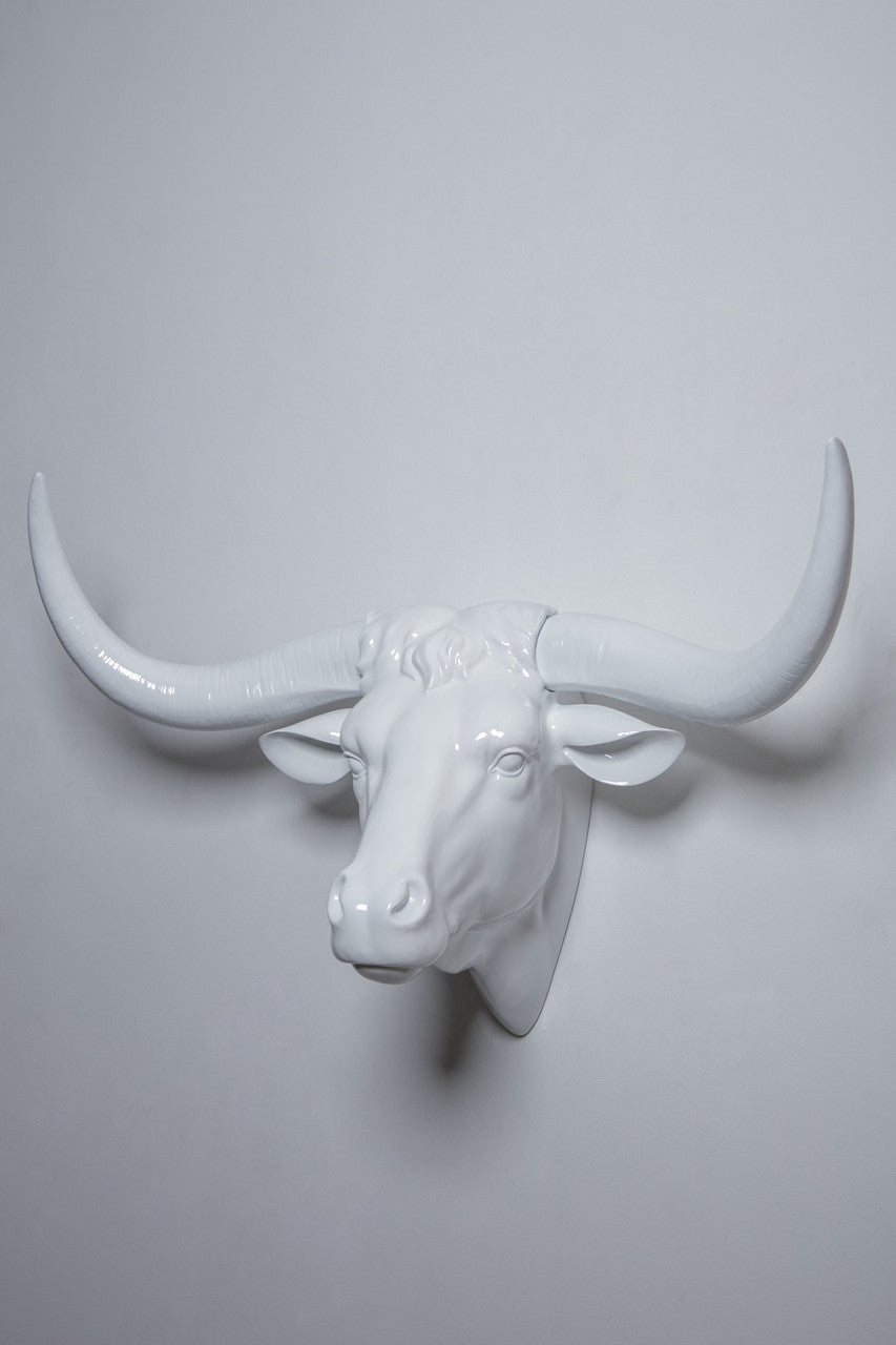 Interior Illusions Plus Cosby Bull Head Taxidermy | Trophy Head | Modishstore