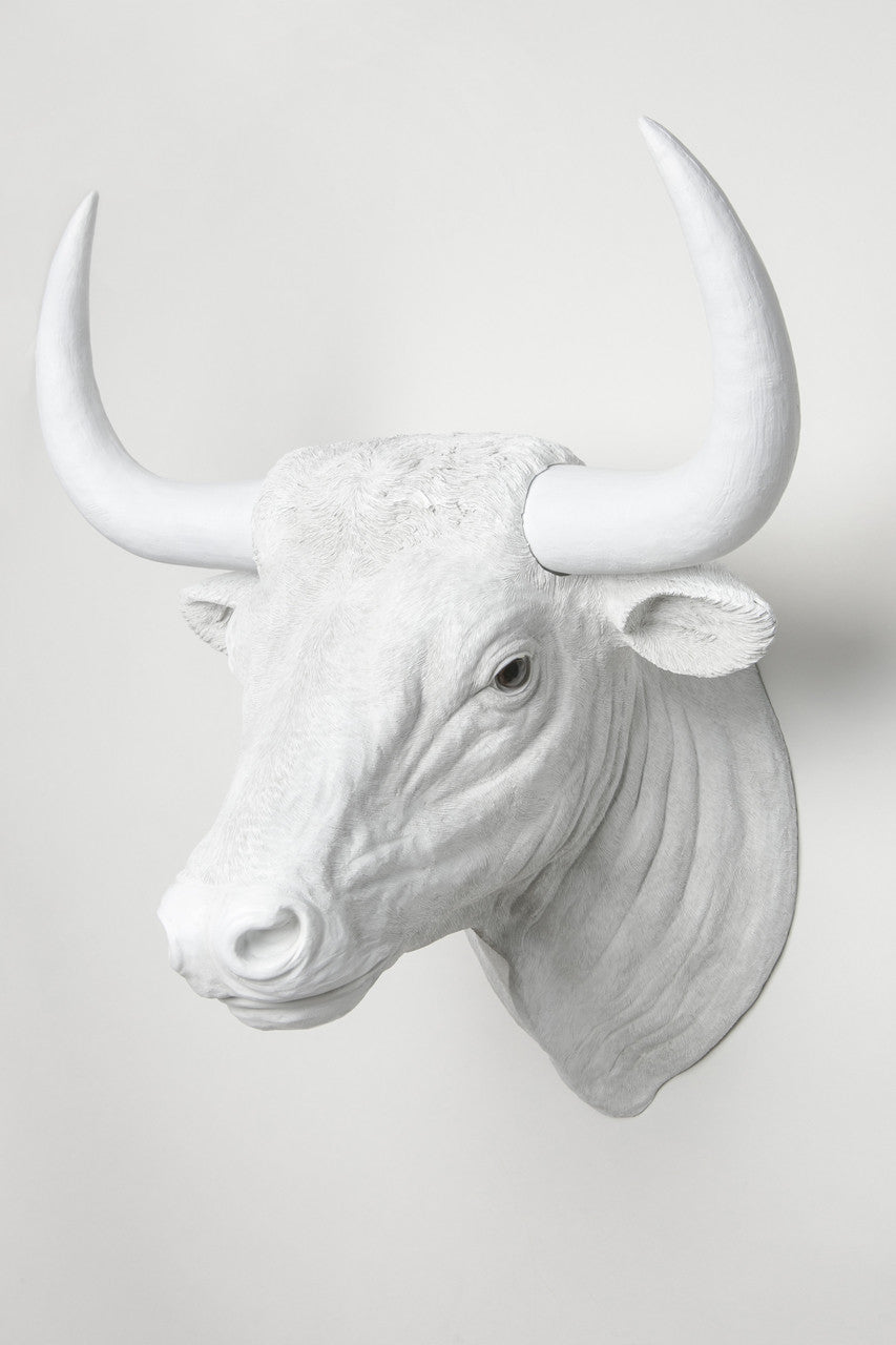 Interior Illusions Plus Bull Head Taxidermy | Trophy Head | Modishstore
