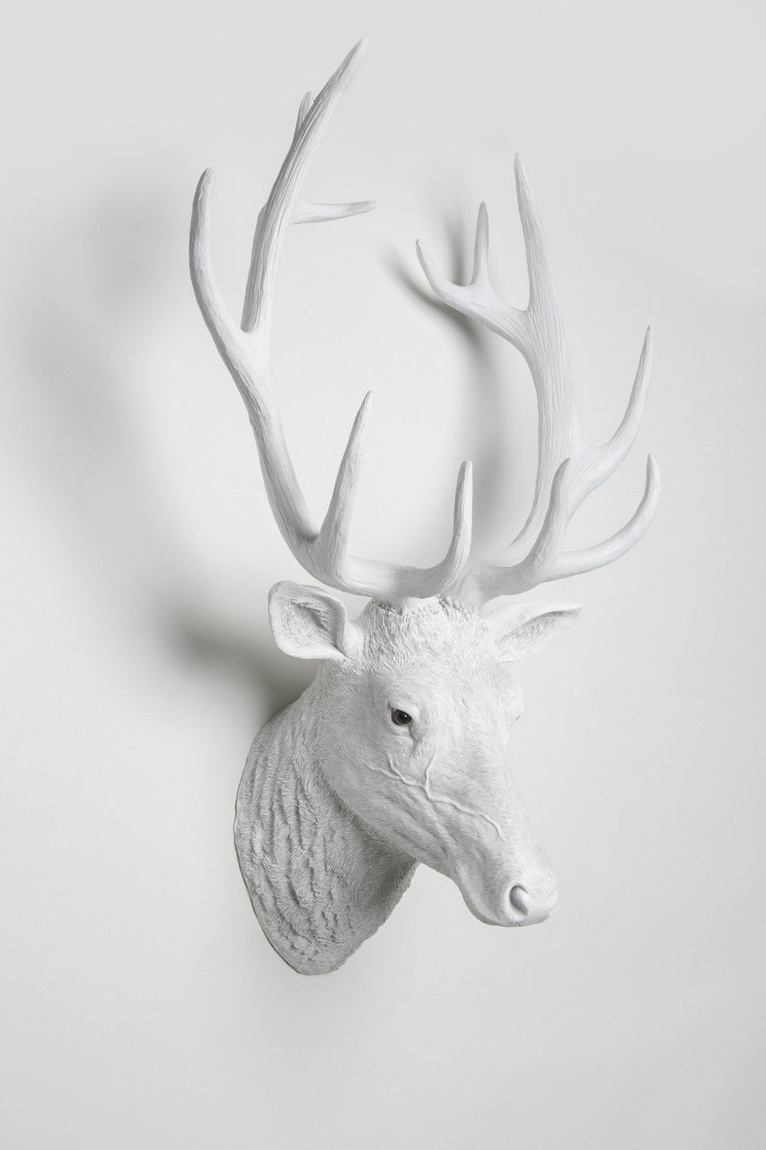 Interior Illusions Plus Deer Head Taxidermy | Trophy Head | Modishstore
